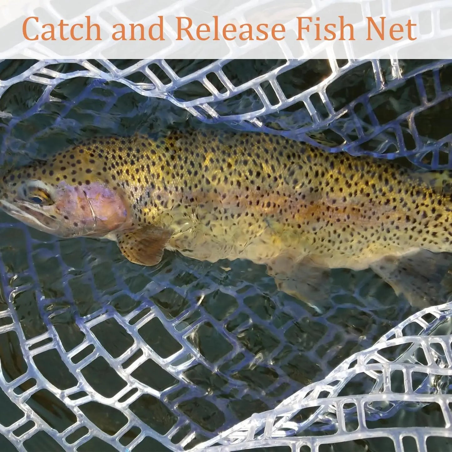 Wooden Frame Fly Fishing Landing Net With Knotless Rubber Mesh