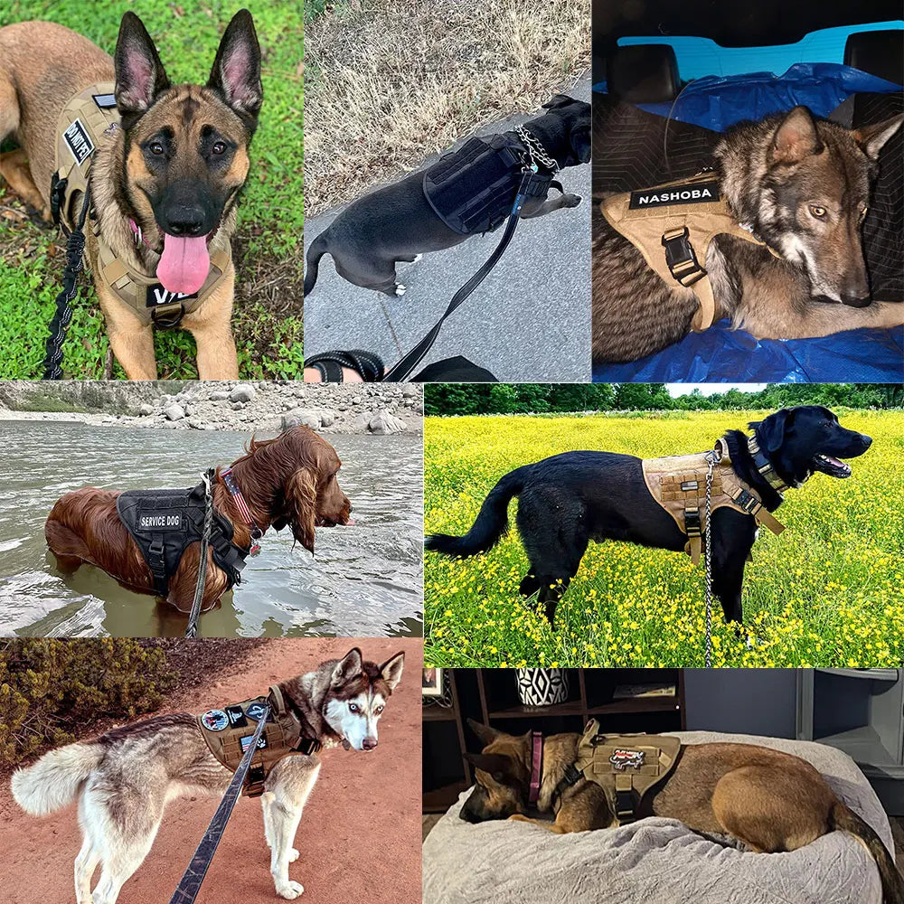 PETRAVEL Tactical Dog Harness Leash Set No Pull for Training